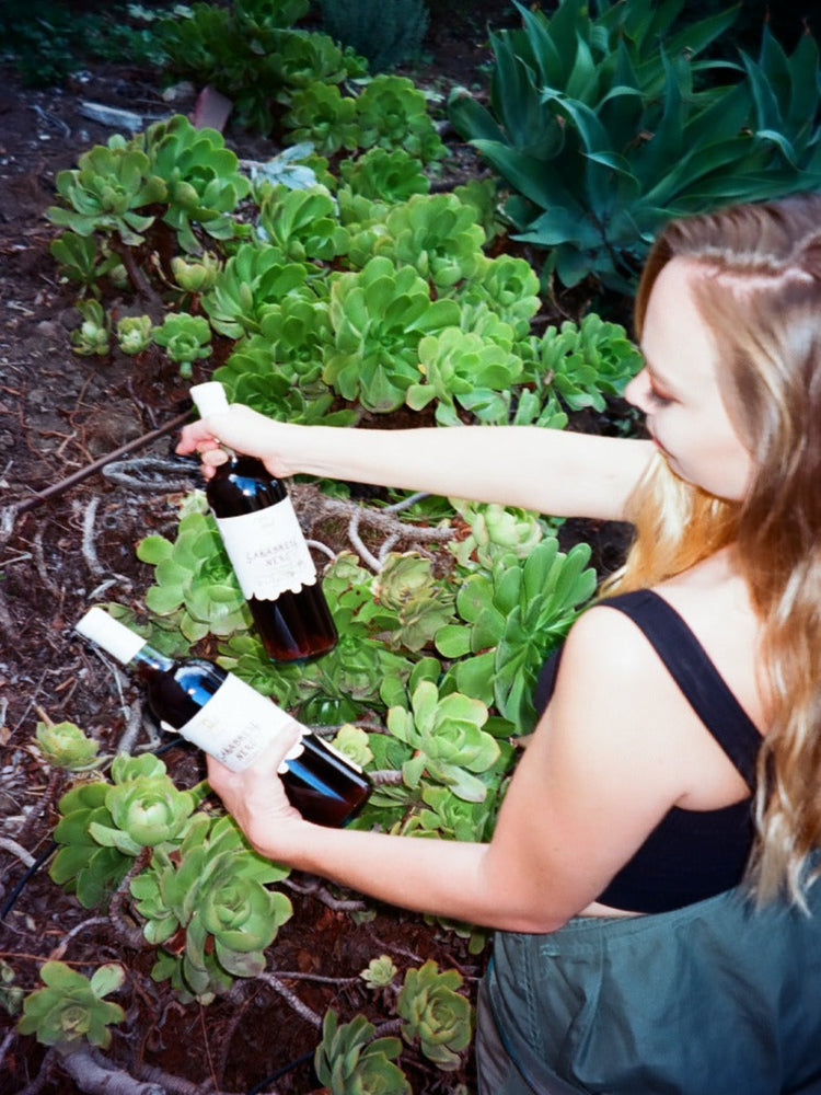 Discover Natural Wine (2 / 4 Bottle Pack)