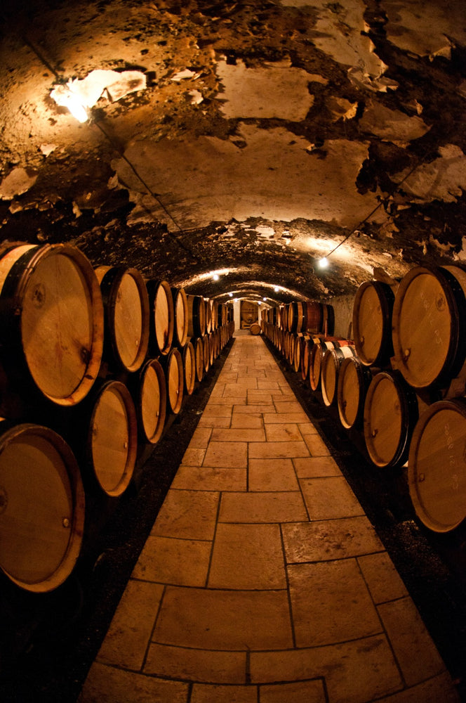 Cellar Case